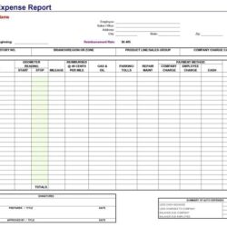 Auto Expense Report