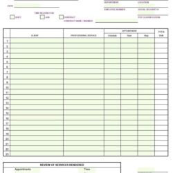 Daily Timesheet