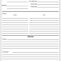 Meeting Minutes